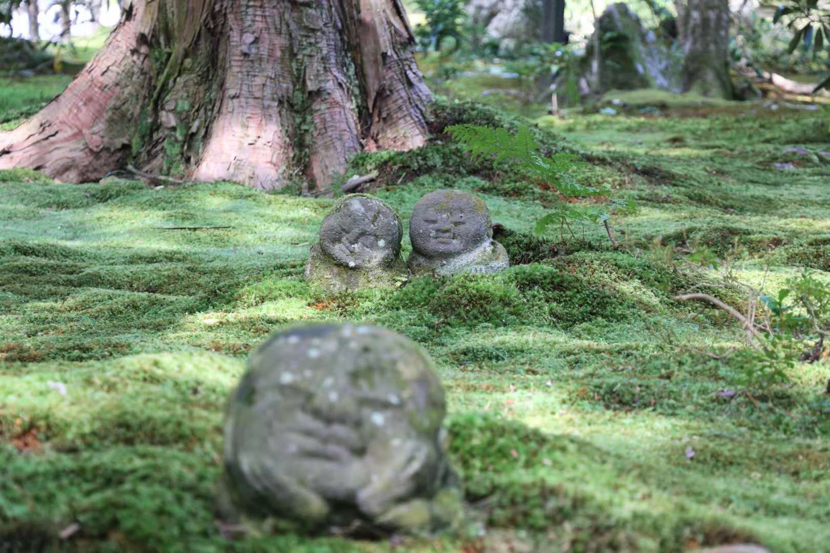 京都自助遊攻略