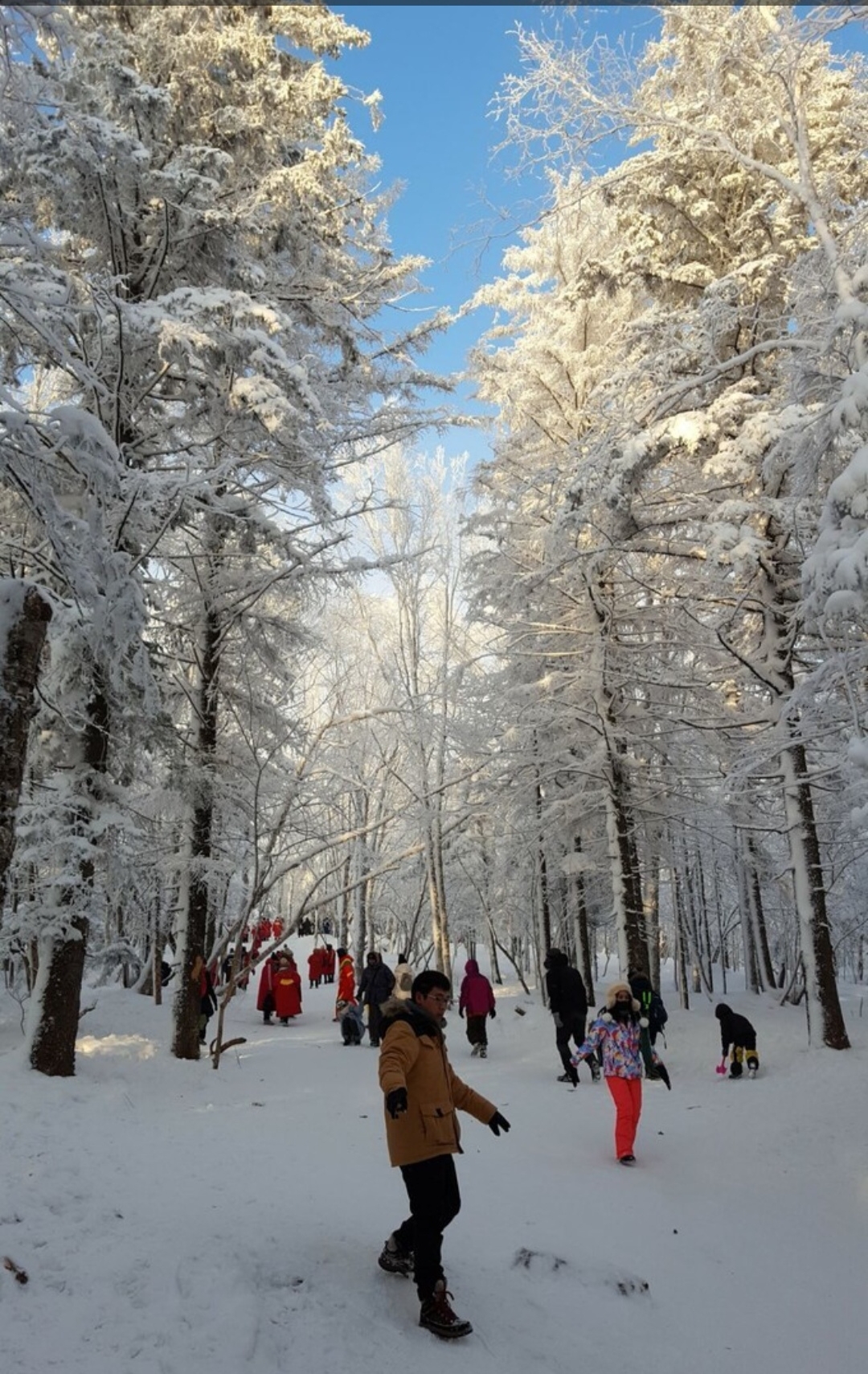 雪鄉自助遊攻略