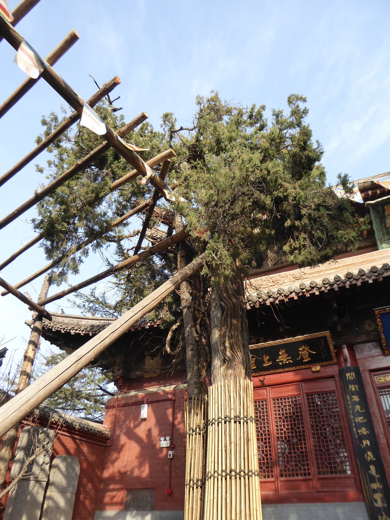 " 一个不得不去的地方,中国第一古刹--洛阳白马寺.