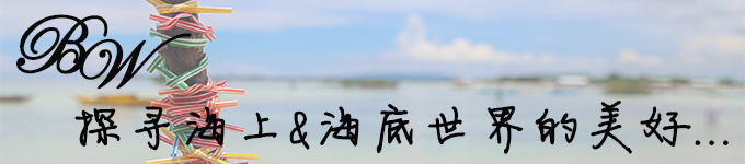 B&W 探寻海上&海底世界的美好...