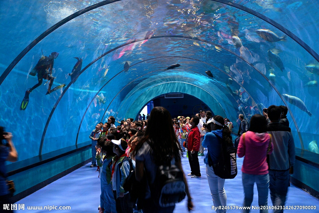 海底世界,蓬莱自助游攻略 - 马蜂窝