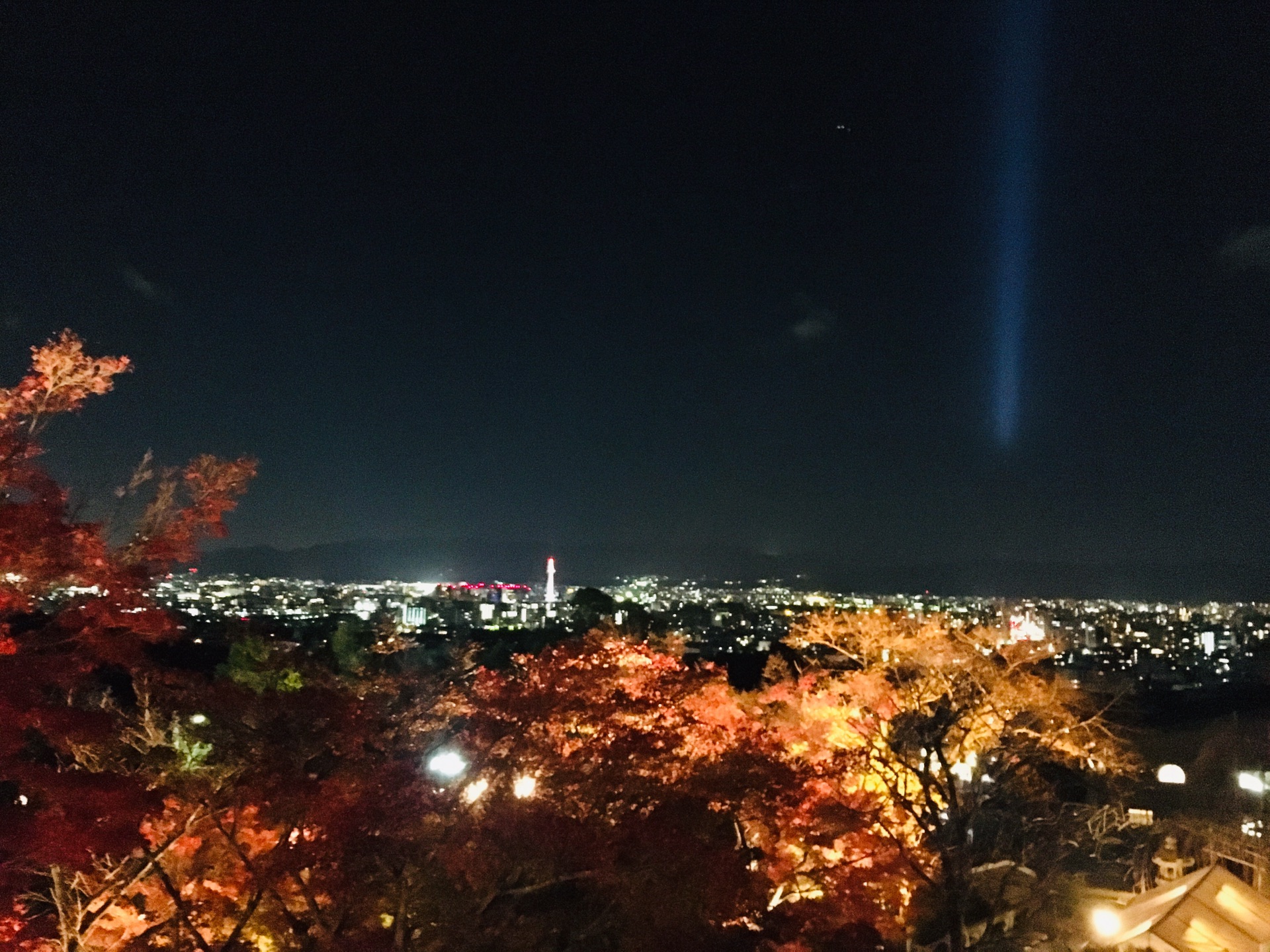 京都自助遊攻略