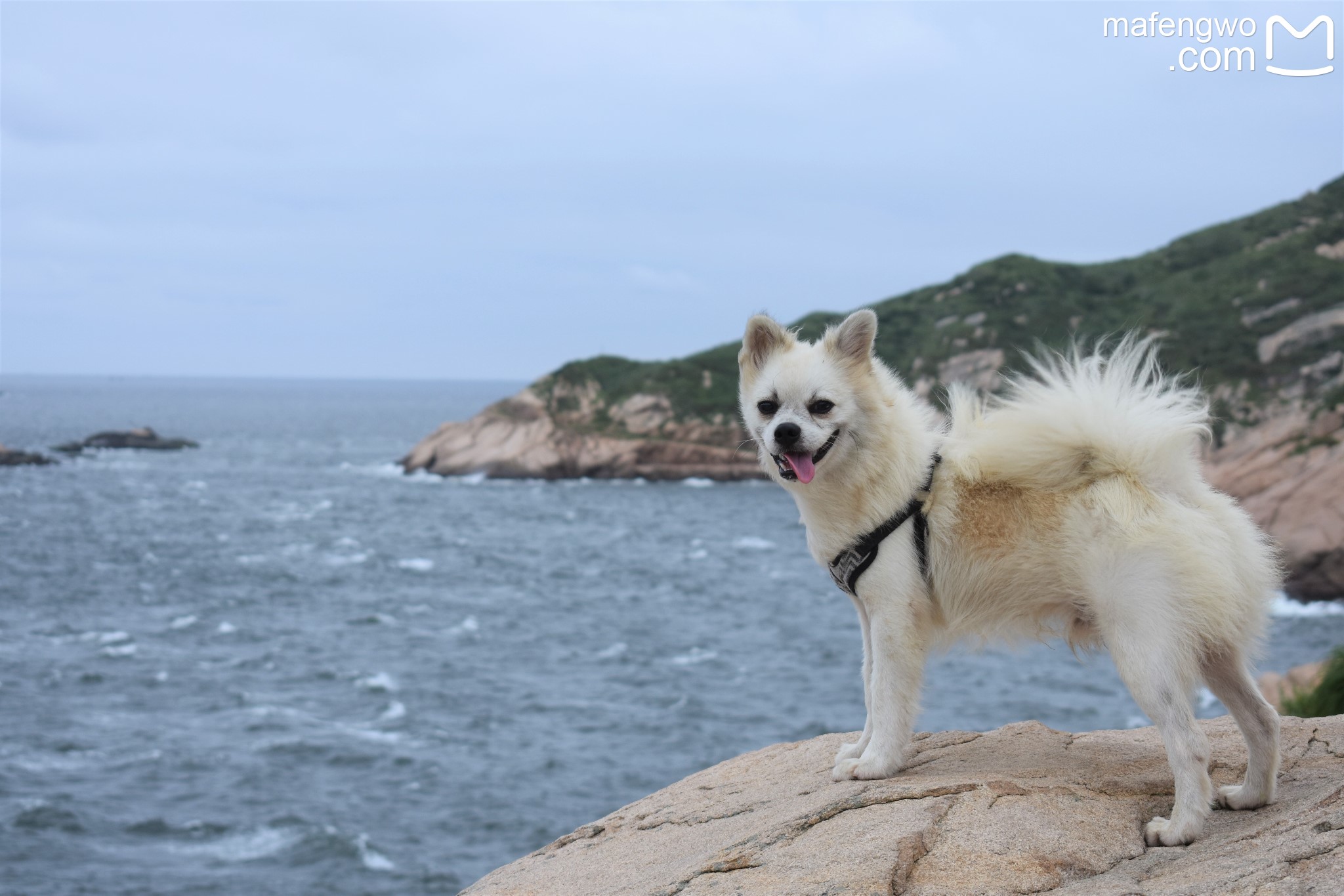 東極島自助遊攻略