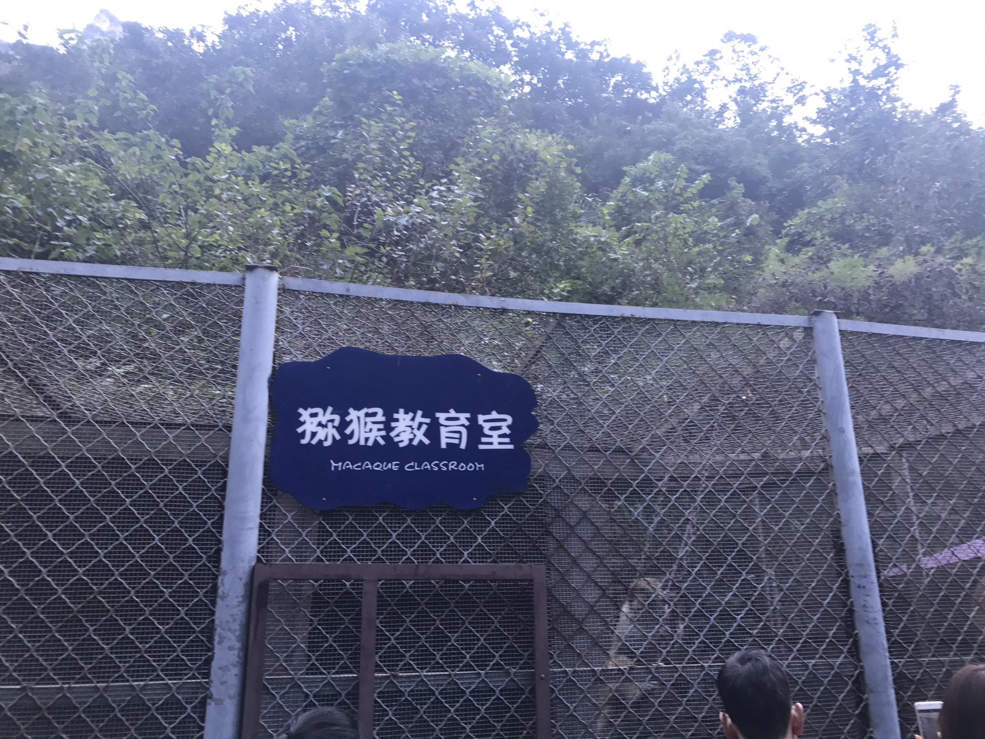 雲台山自助遊攻略