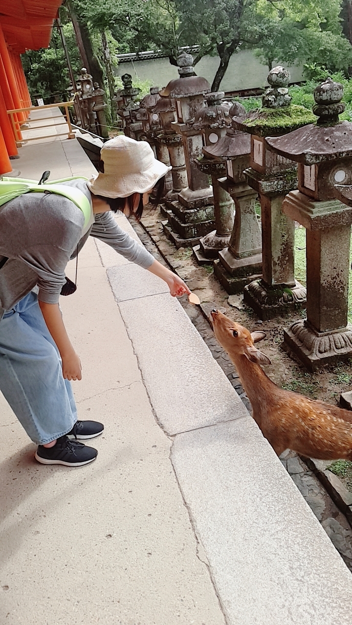 日本自助遊攻略