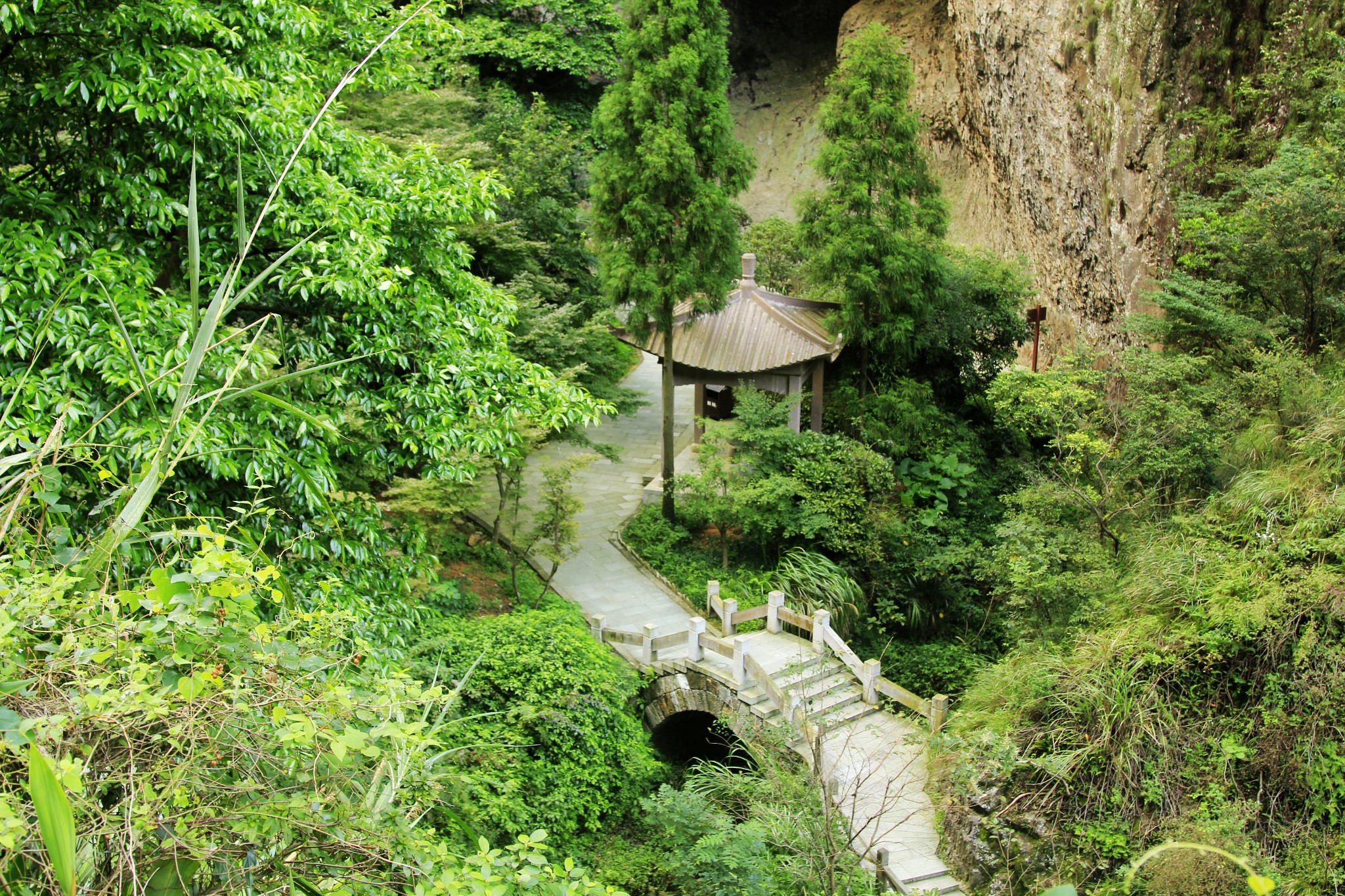 雁盪山自助遊攻略