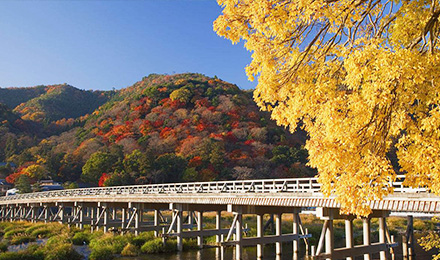 日本京都一日遊(嵐山天龍寺 金閣寺 伏見稻荷大社),馬蜂窩自由行 - 馬