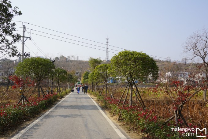 登錄查看大圖
