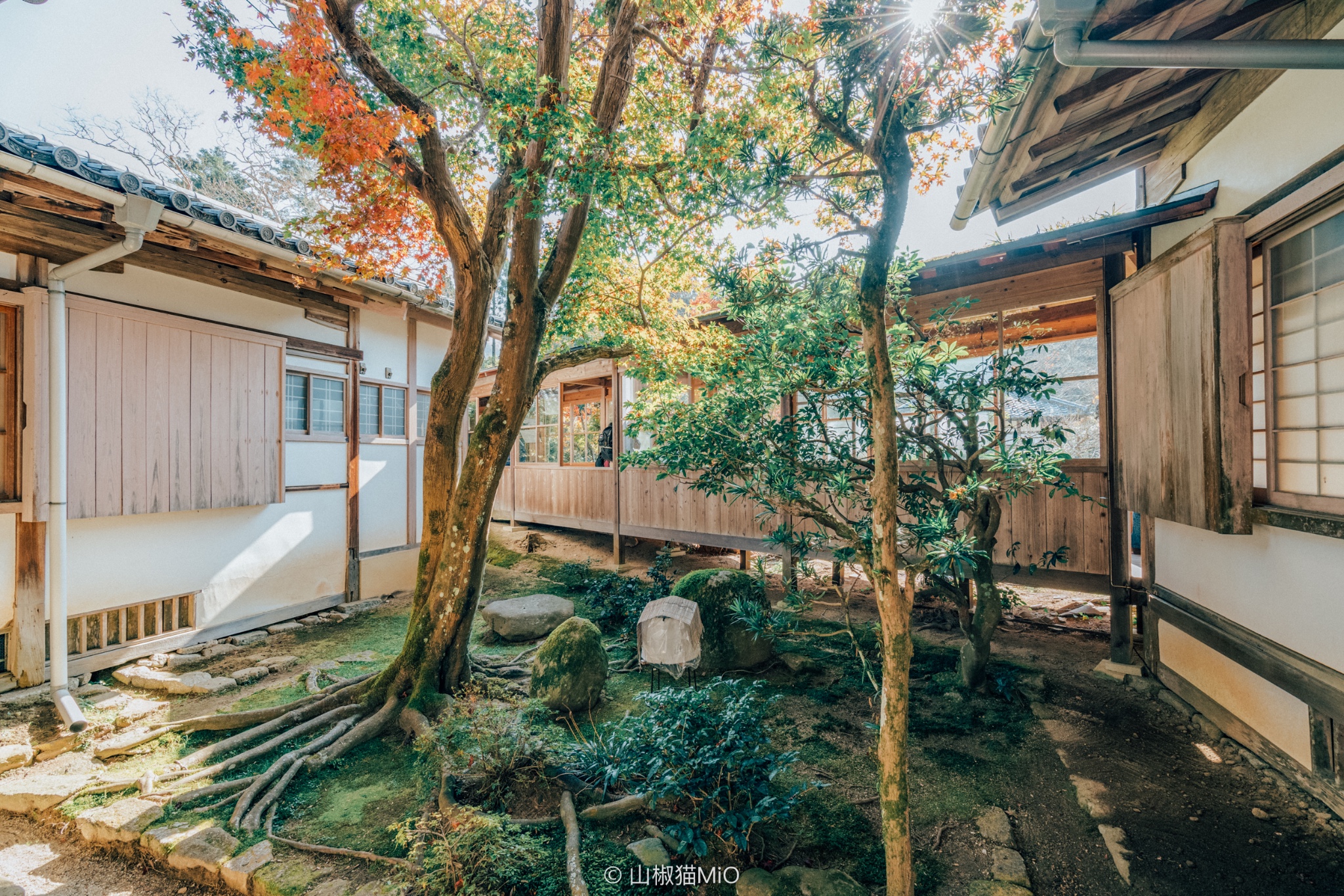 曼殊院攻略 曼殊院门票 地址 曼殊院景点攻略 马蜂窝