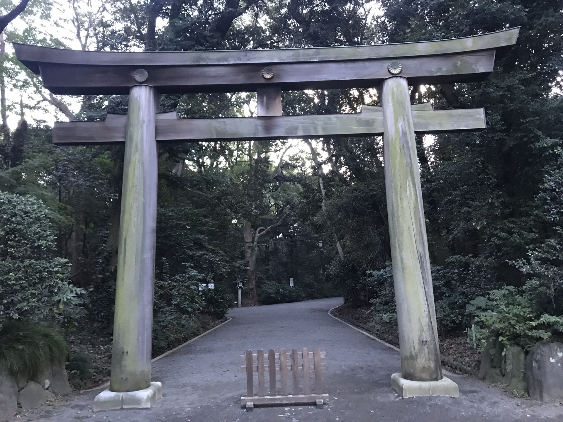 東京自助遊攻略