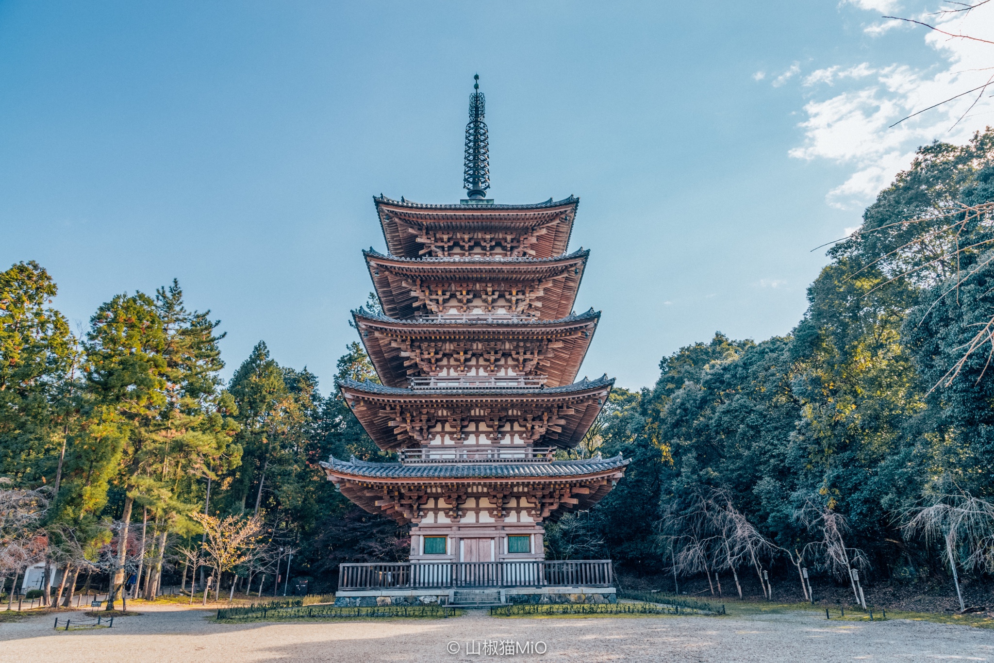 京都自助遊攻略