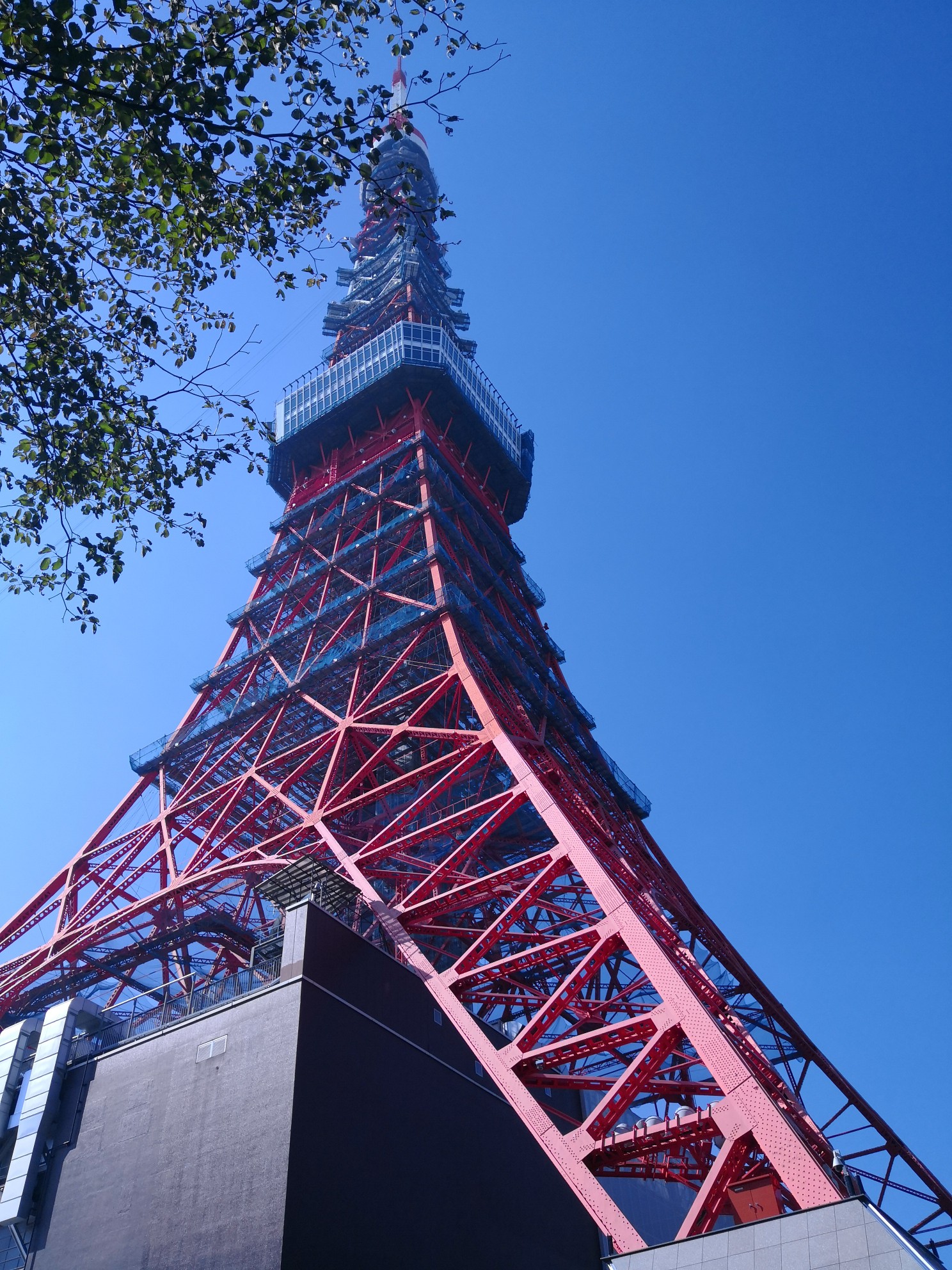 東京自助遊攻略