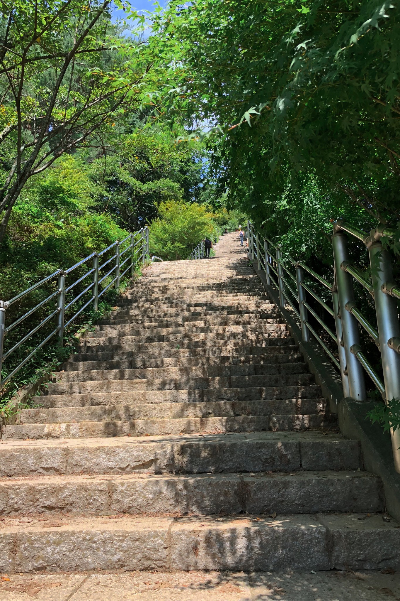 東京自助遊攻略