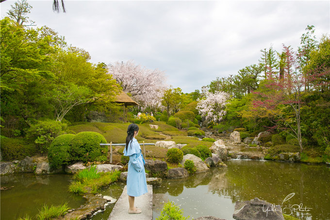 京都自助遊攻略