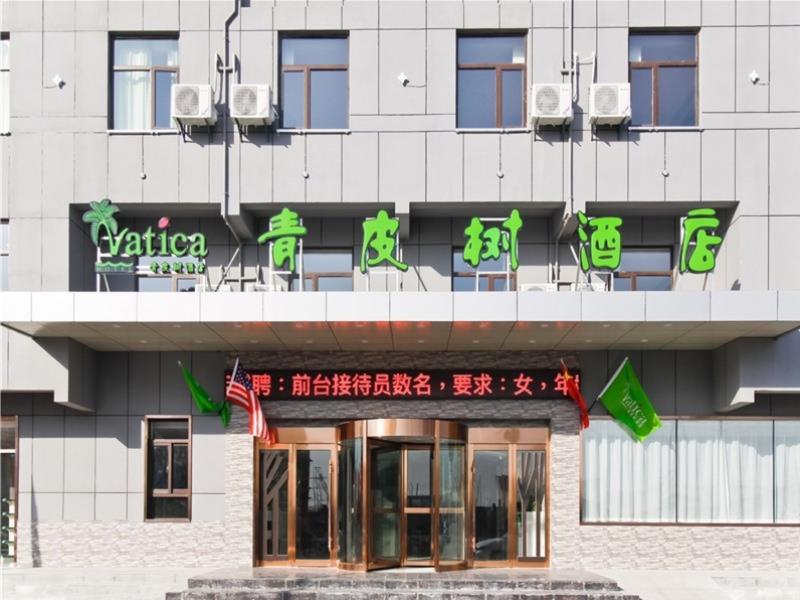 青皮树合肥瑶海区王岗路地铁站酒店