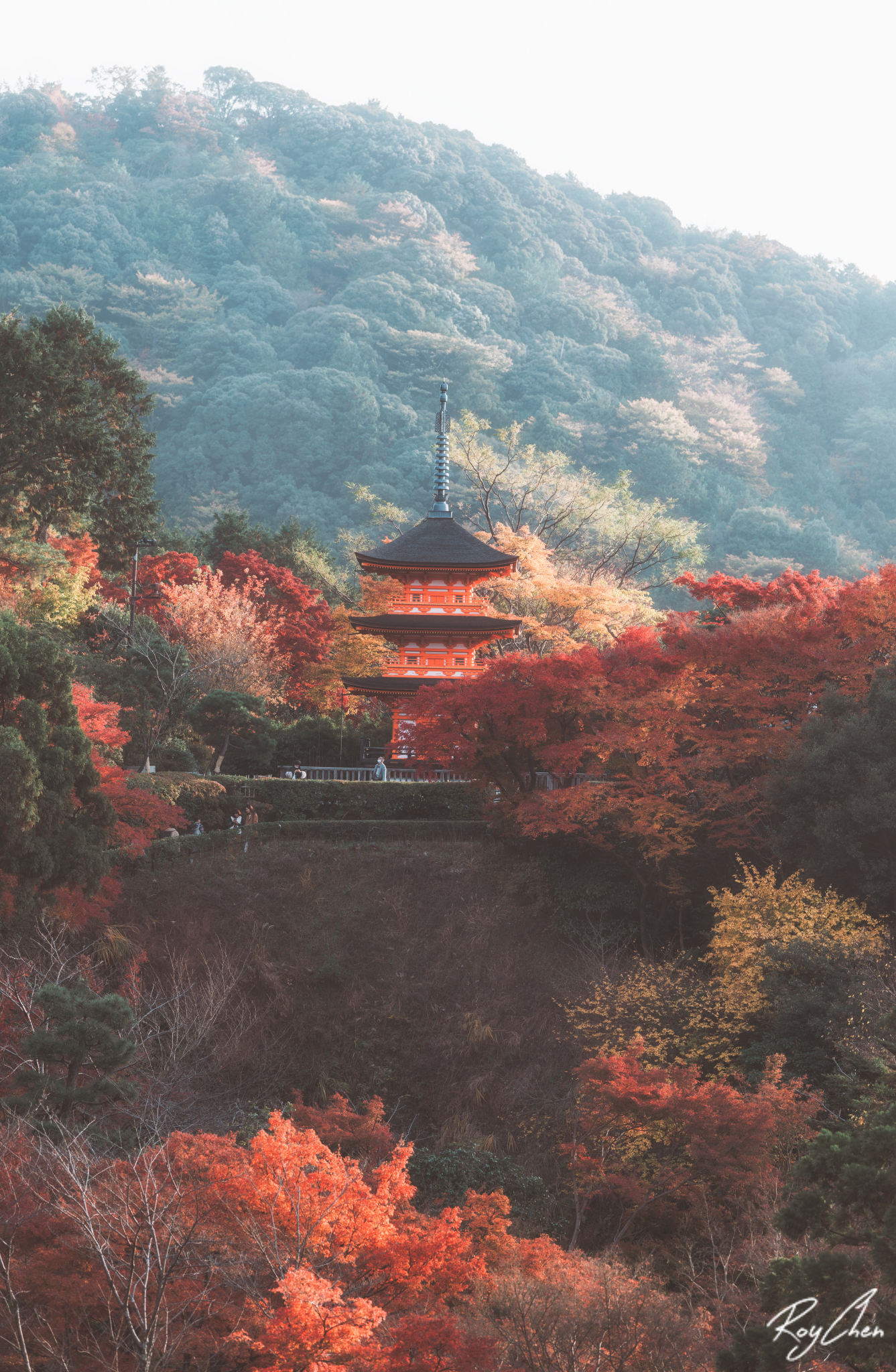 京都自助遊攻略