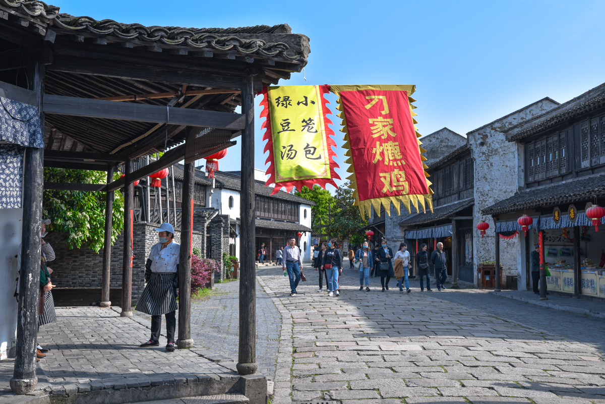 春日嬉游记#自驾常熟沙家浜,摇橹船行芦苇荡,水乡田野蓝花漾