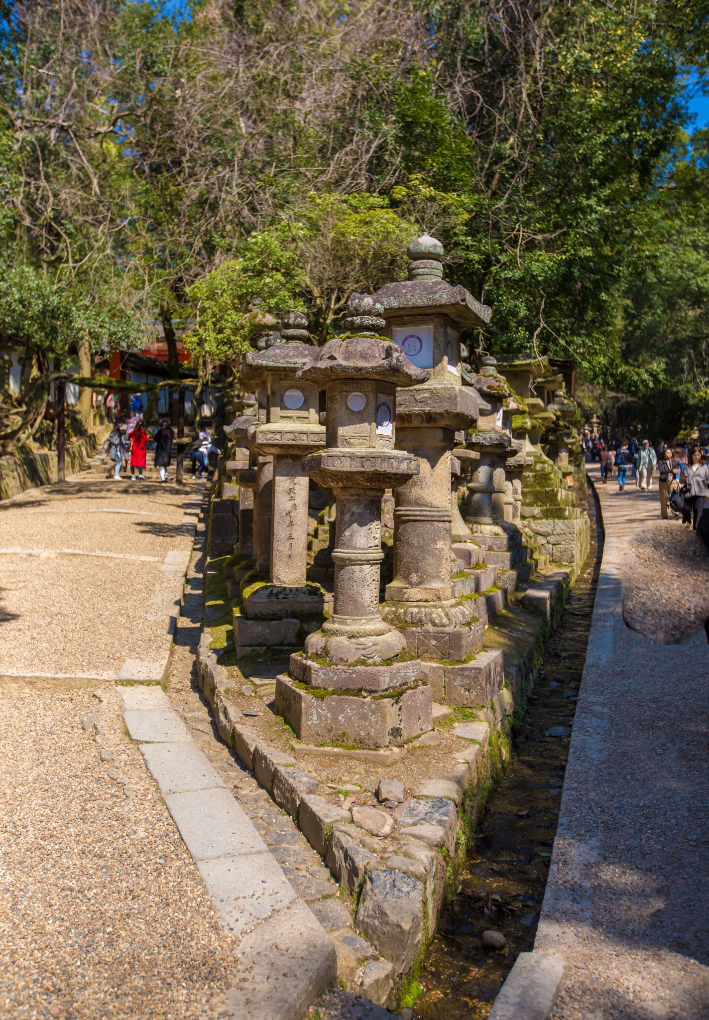 富士山自助遊攻略