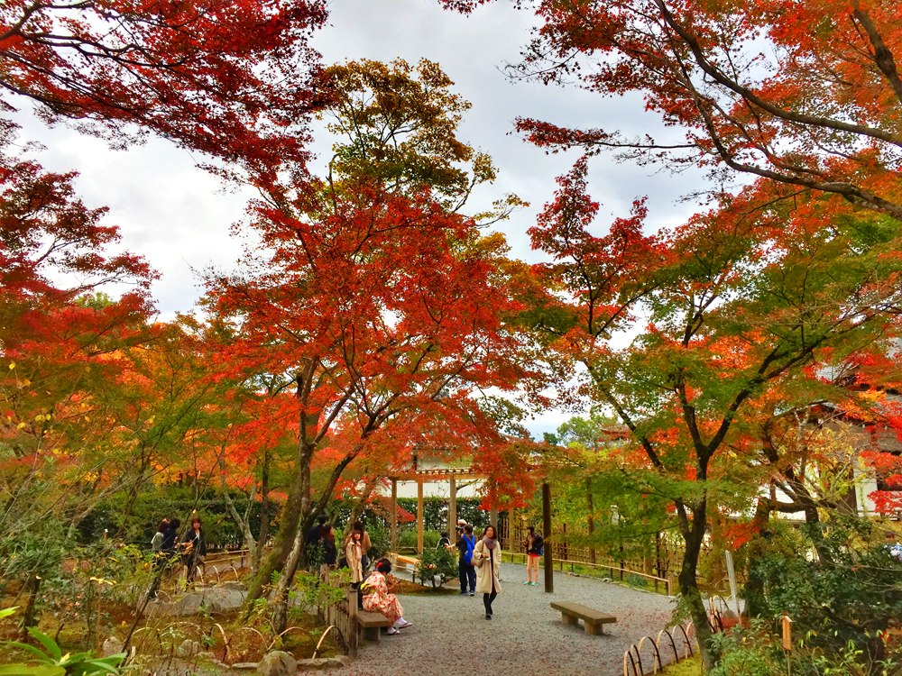 京都自助遊攻略