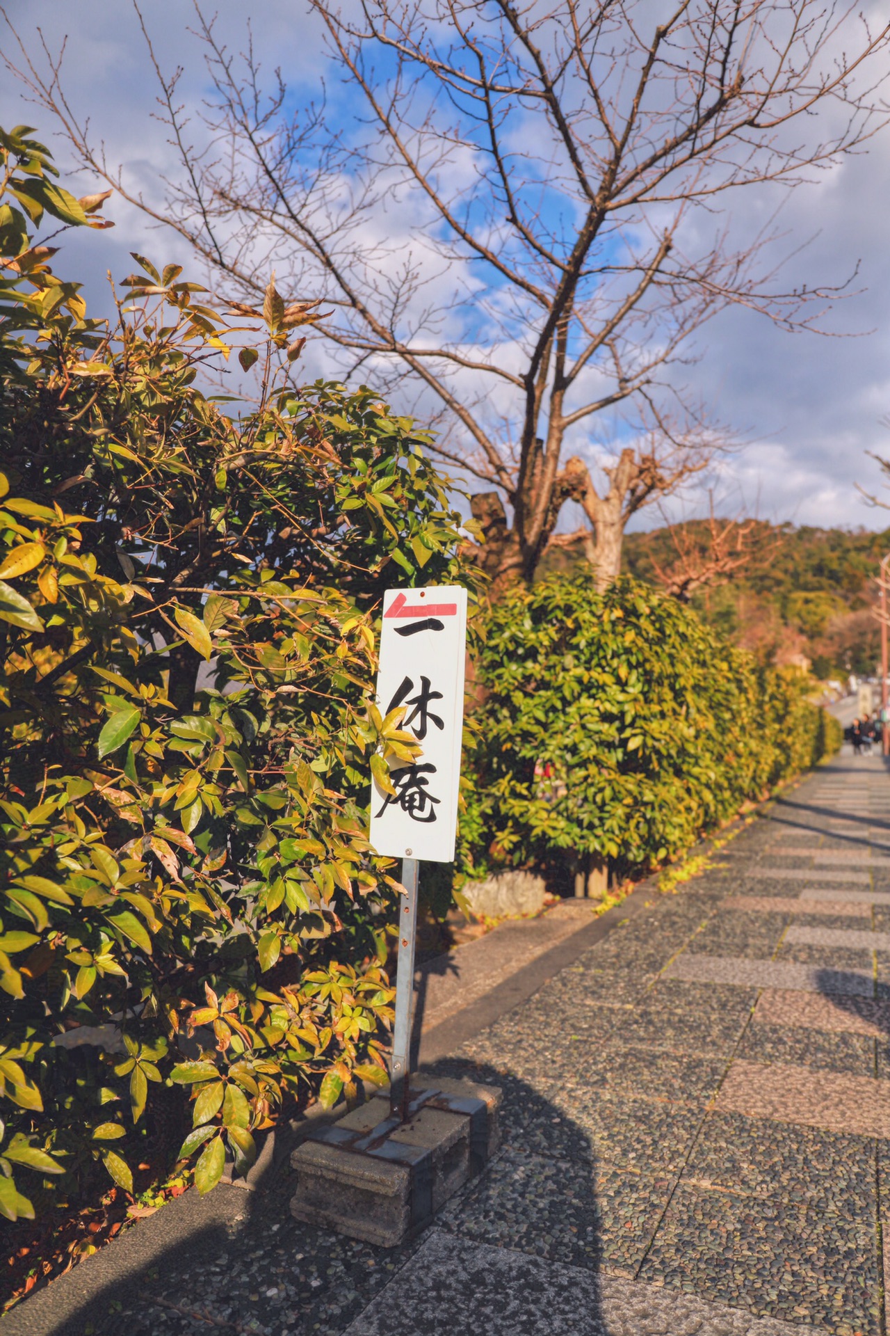 北海道自助遊攻略