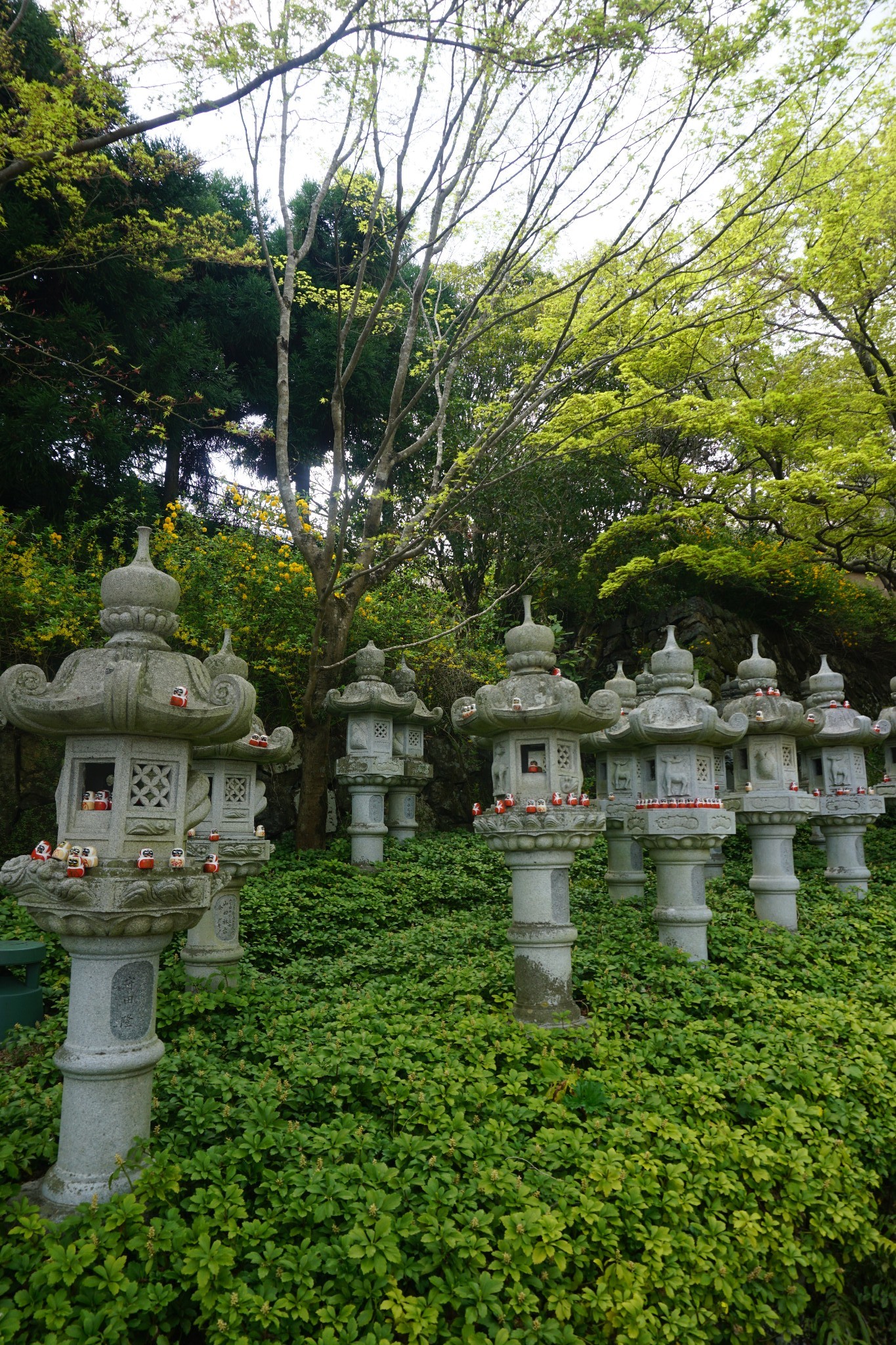 京都自助遊攻略