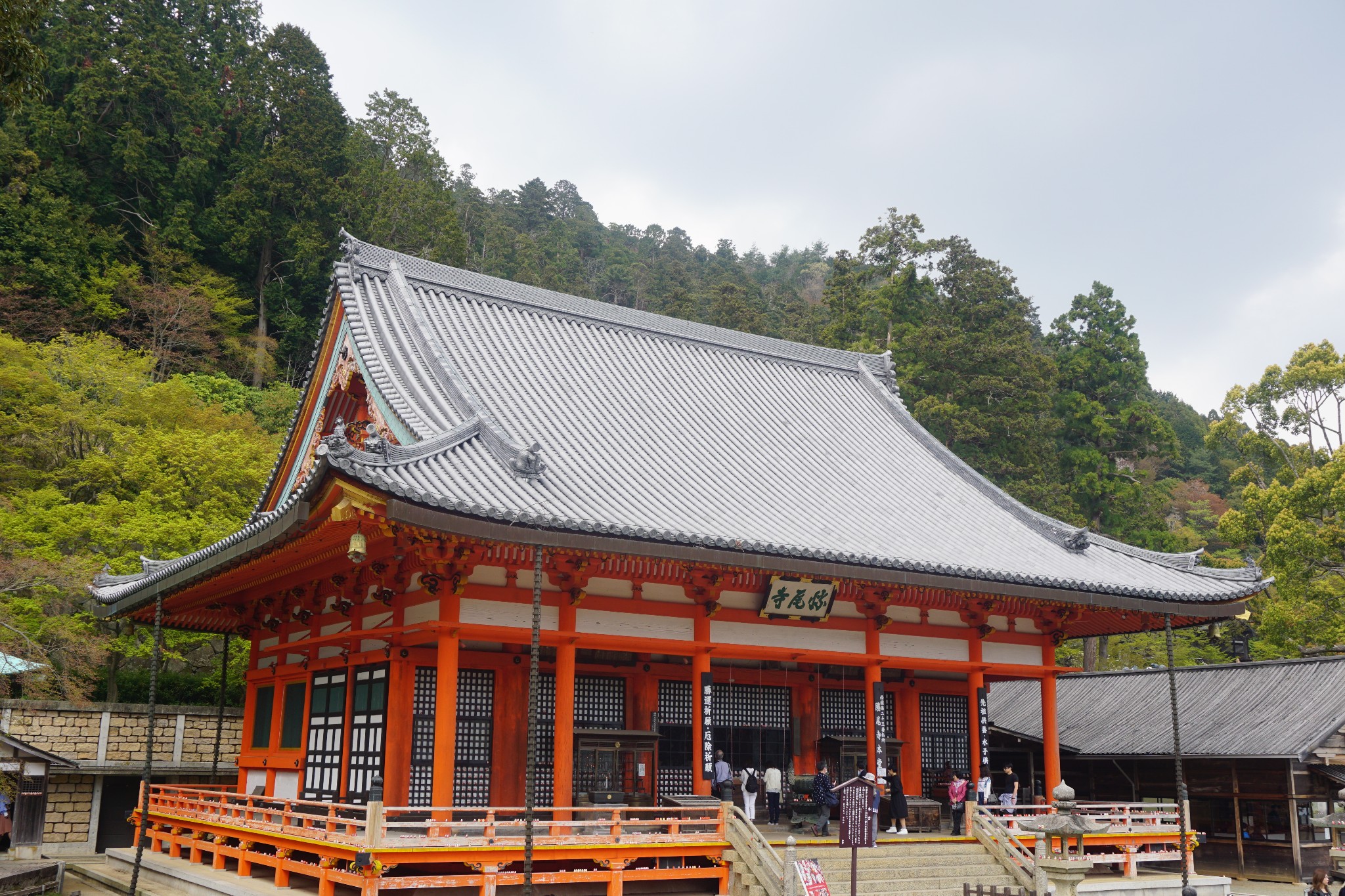 京都自助遊攻略