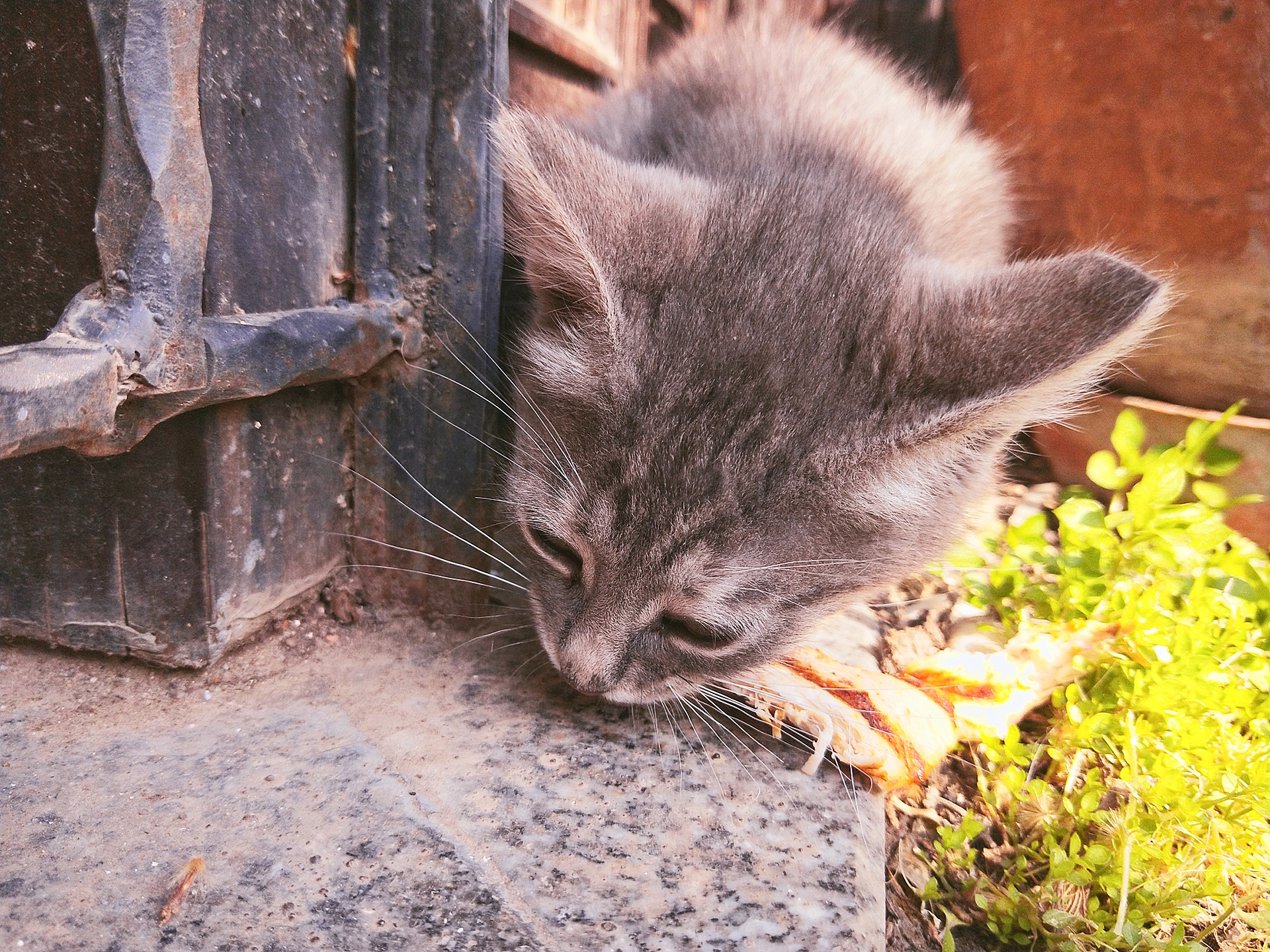 wKgEaVyBL4eAdrt2ACpsu0sGPoA21.jpeg?imageView2%2F2%2Fw%2F680%2Fq%2F90%7CimageMogr2%2Fstrip%2Fquality%2F90