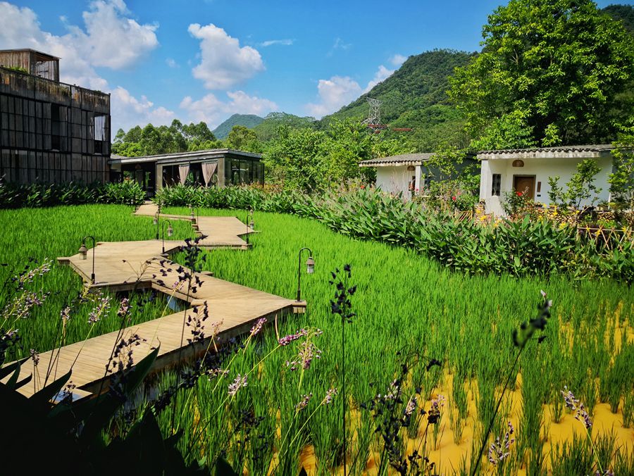 惠州博罗禾肚里稻田酒店2天1晚度假套餐住在稻田里邂逅自然溪边垂钓