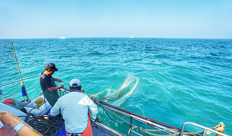 体验东夷文化品尝地道小吃 每日消毒 (上门接 灯塔景区打卡 出海捕鱼