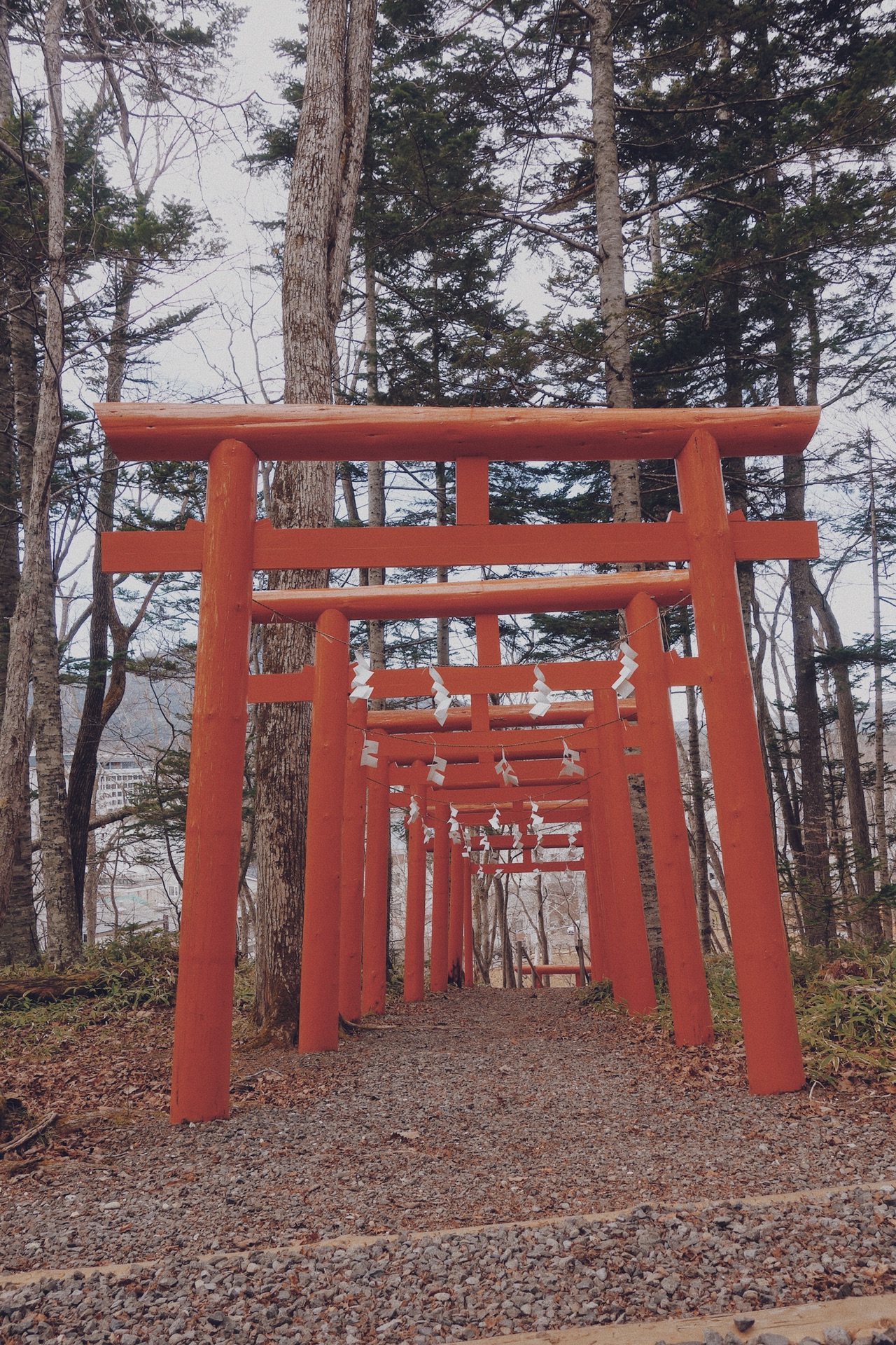 北海道自助遊攻略