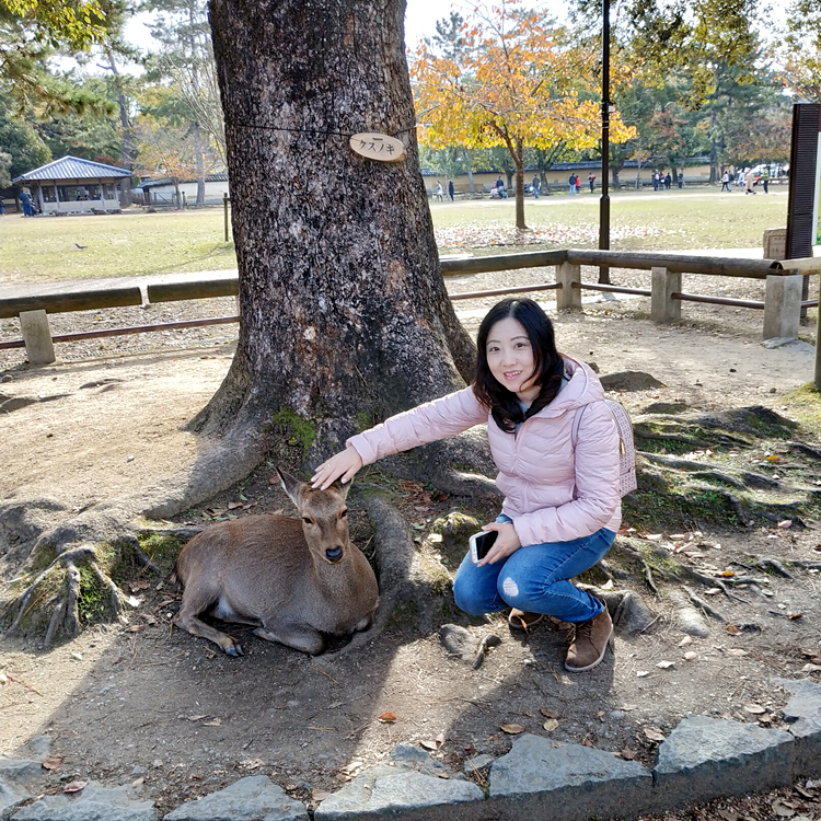 京都自助遊攻略