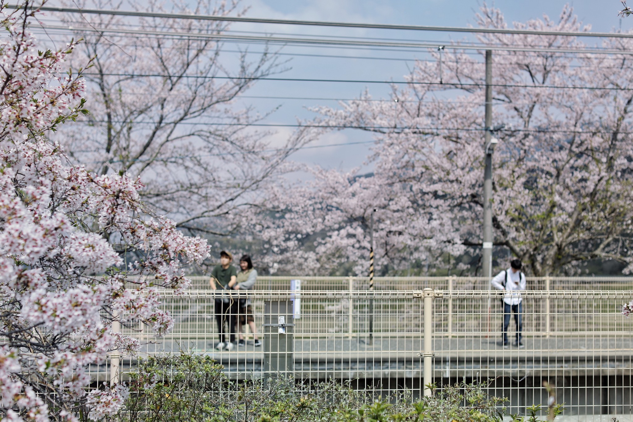 東京自助遊攻略