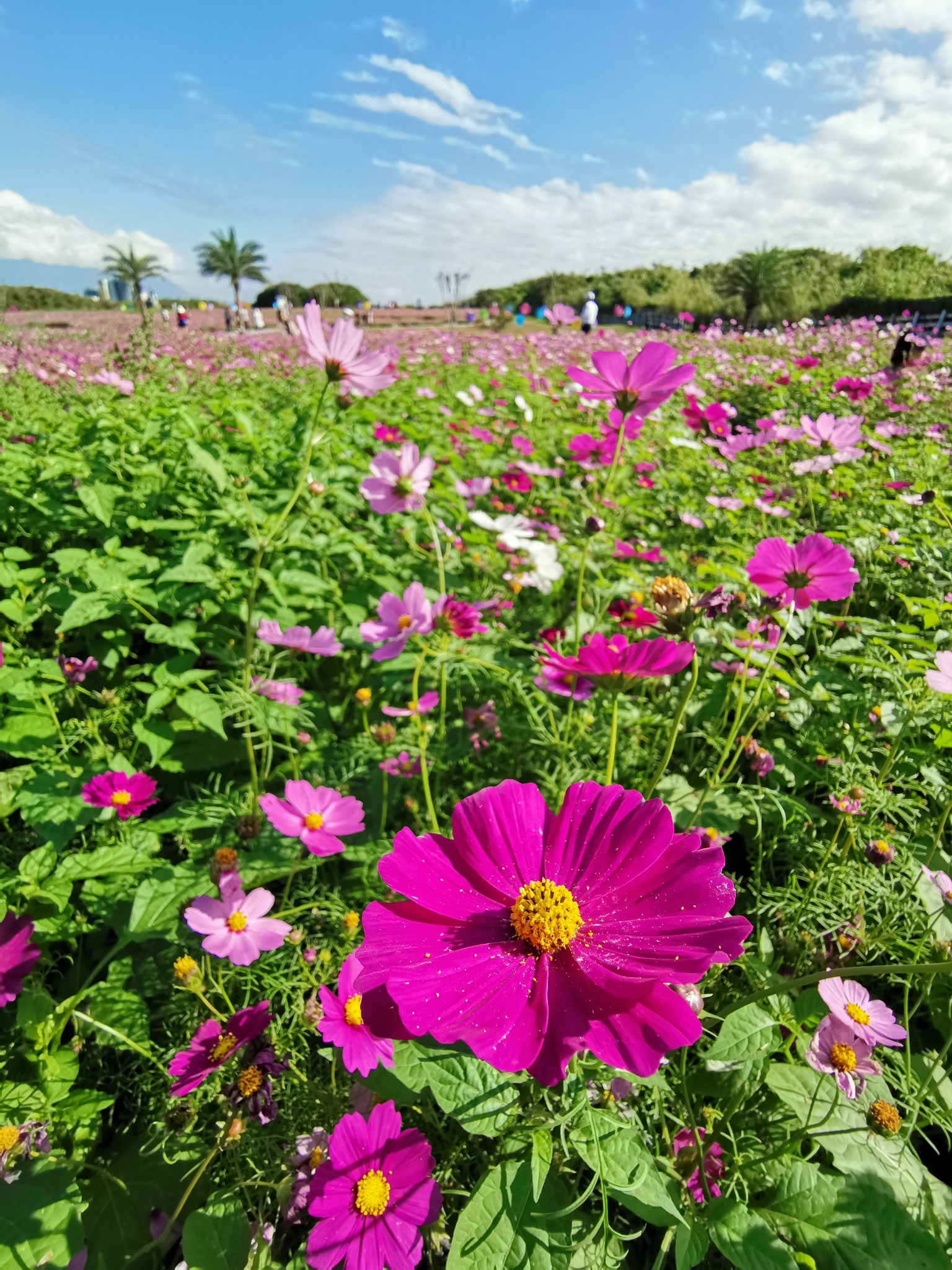 花蓮自助遊攻略