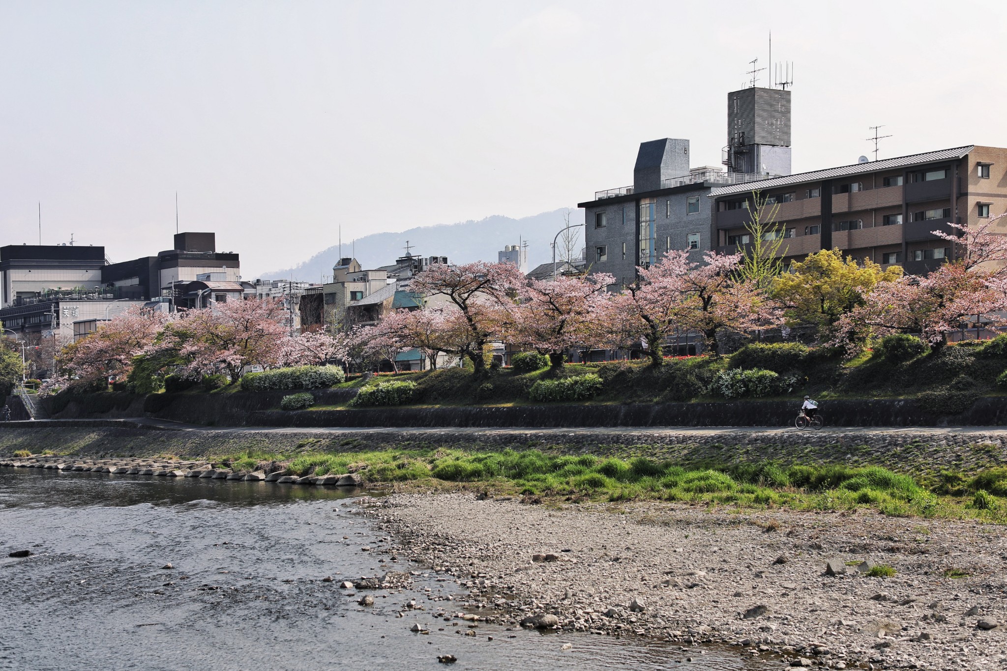 東京自助遊攻略