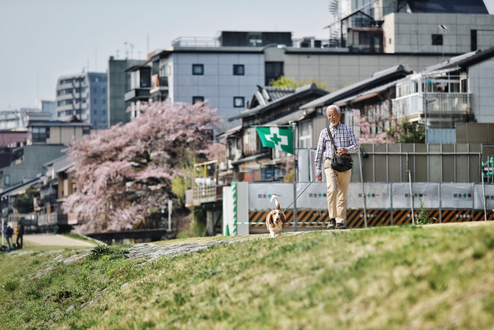 東京自助遊攻略