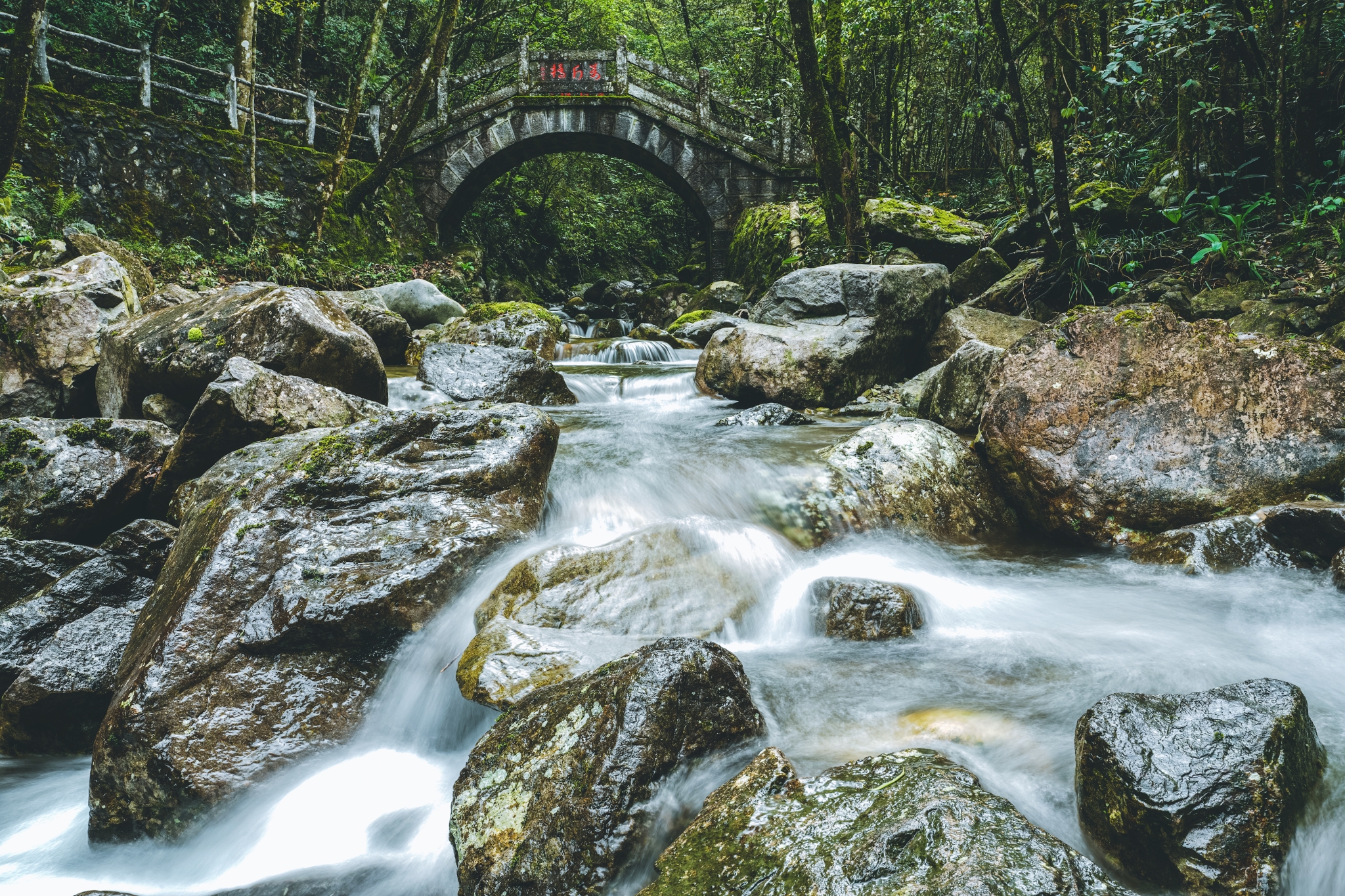 乌岩岭国家级自然保护区