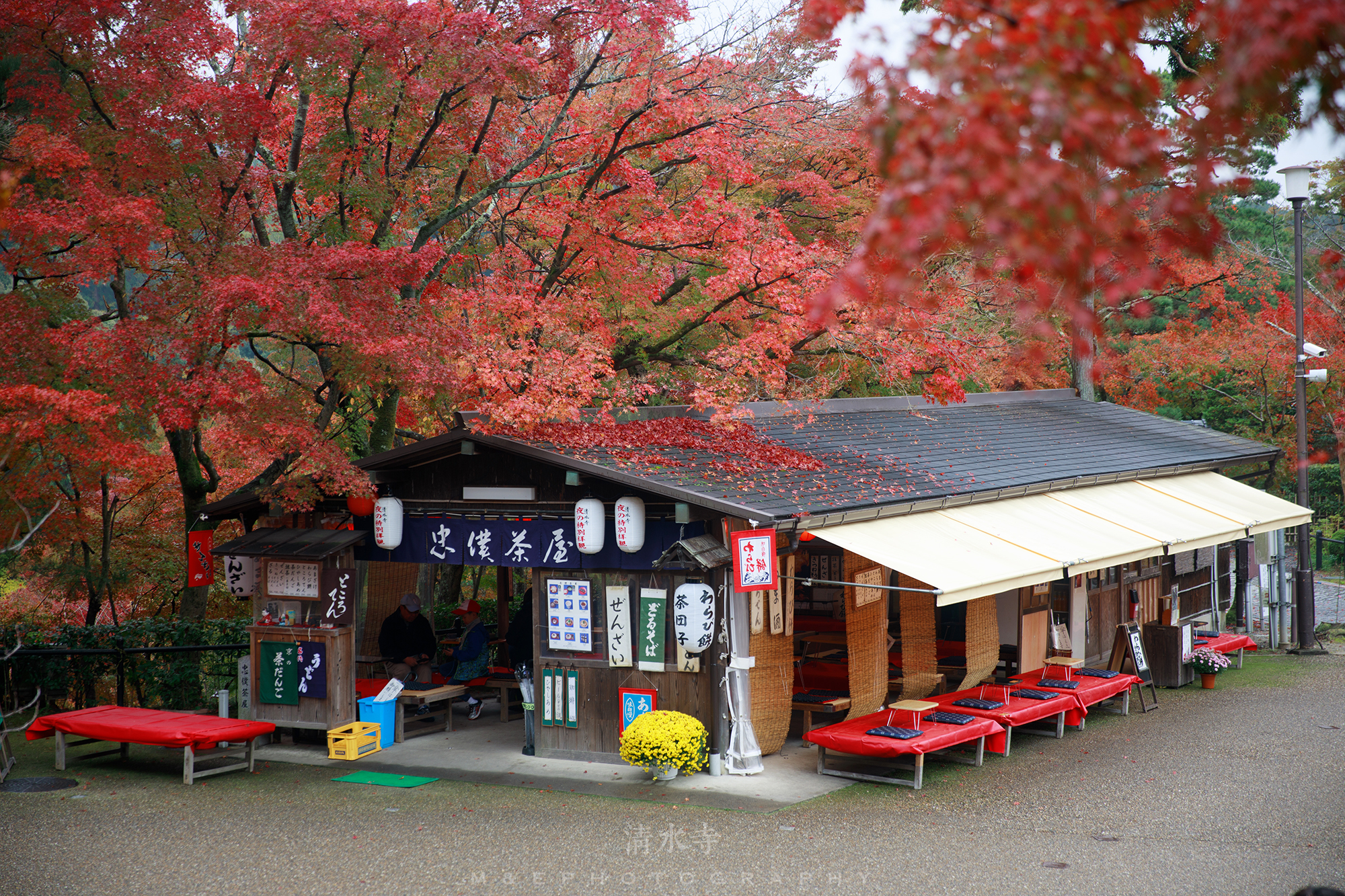 京都自助遊攻略