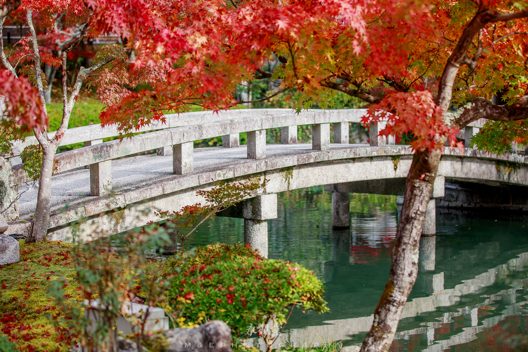 京都自助遊攻略