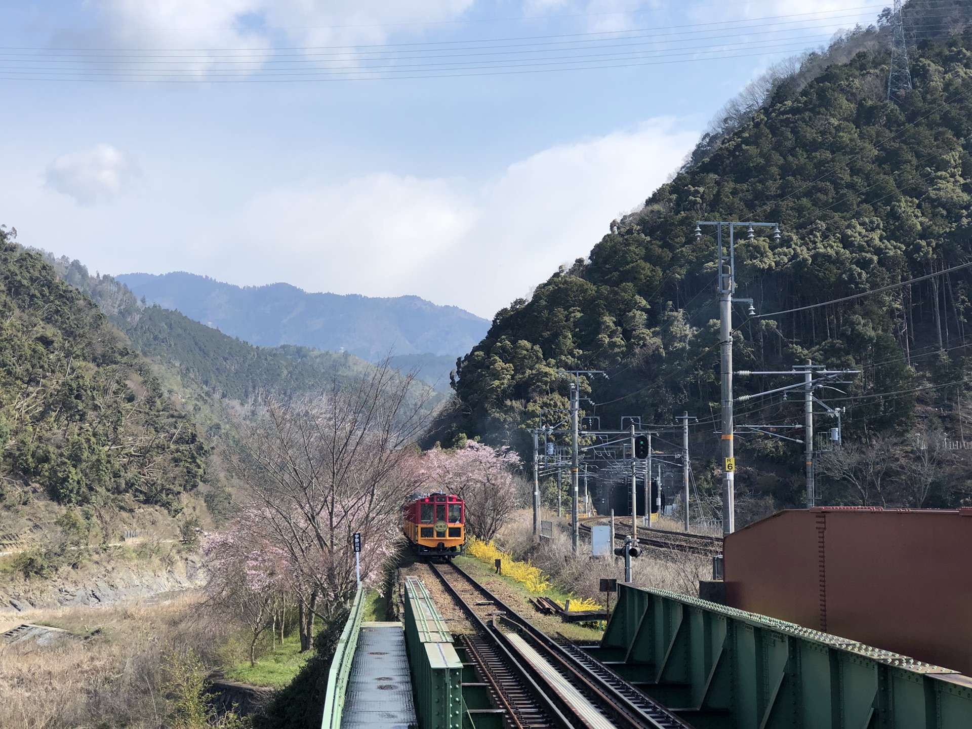 京都自助遊攻略