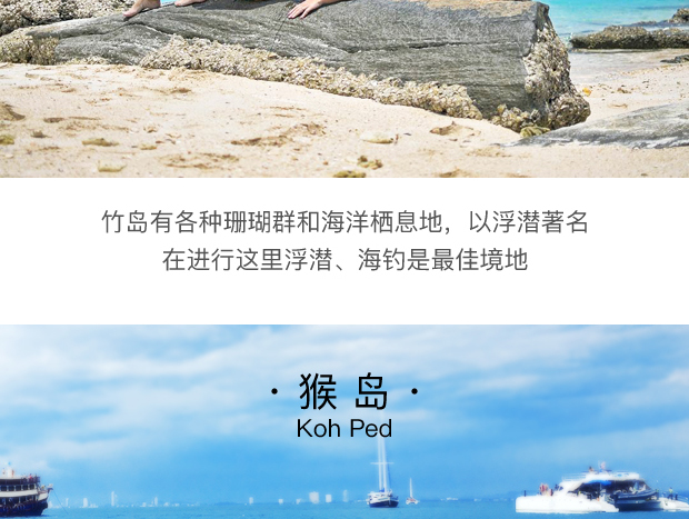 高分点评 曼谷芭提雅 无人岛三岛豪华双体游艇