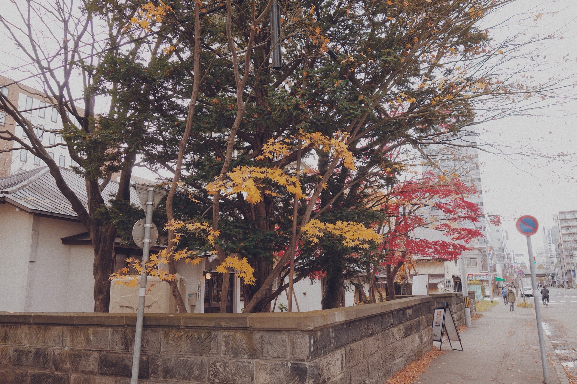 北海道自助遊攻略