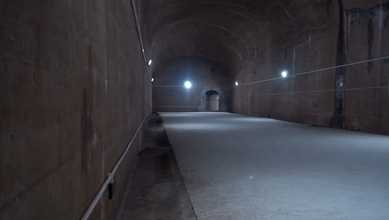 解密数字代码"6501"