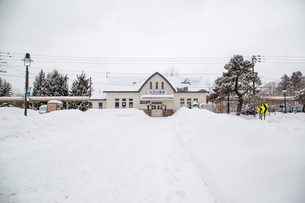 北海道自助遊攻略