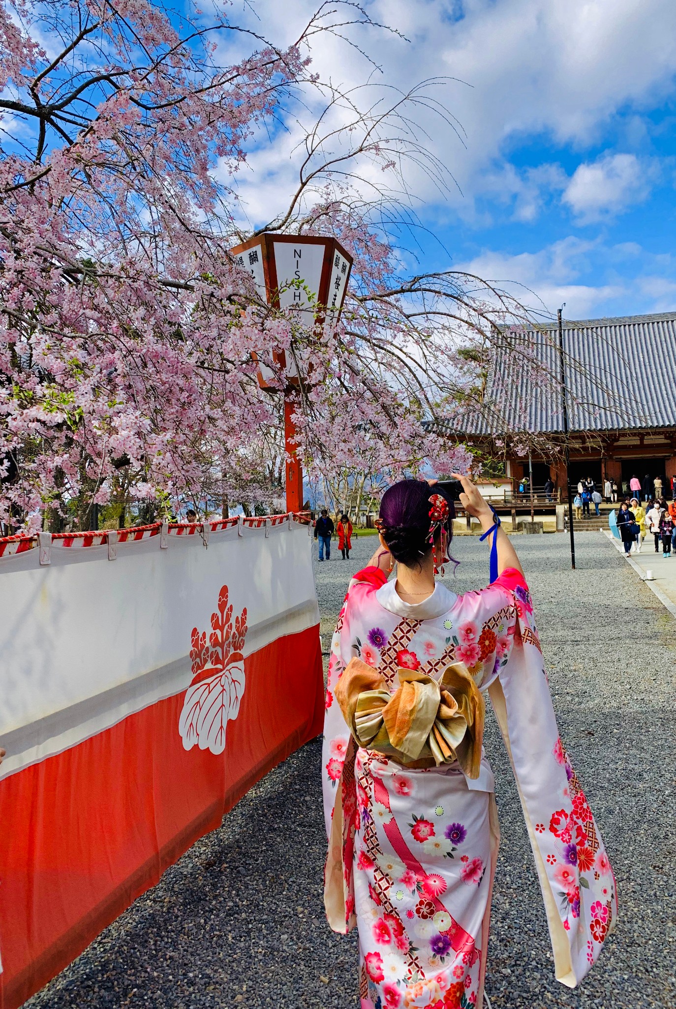 京都自助遊攻略