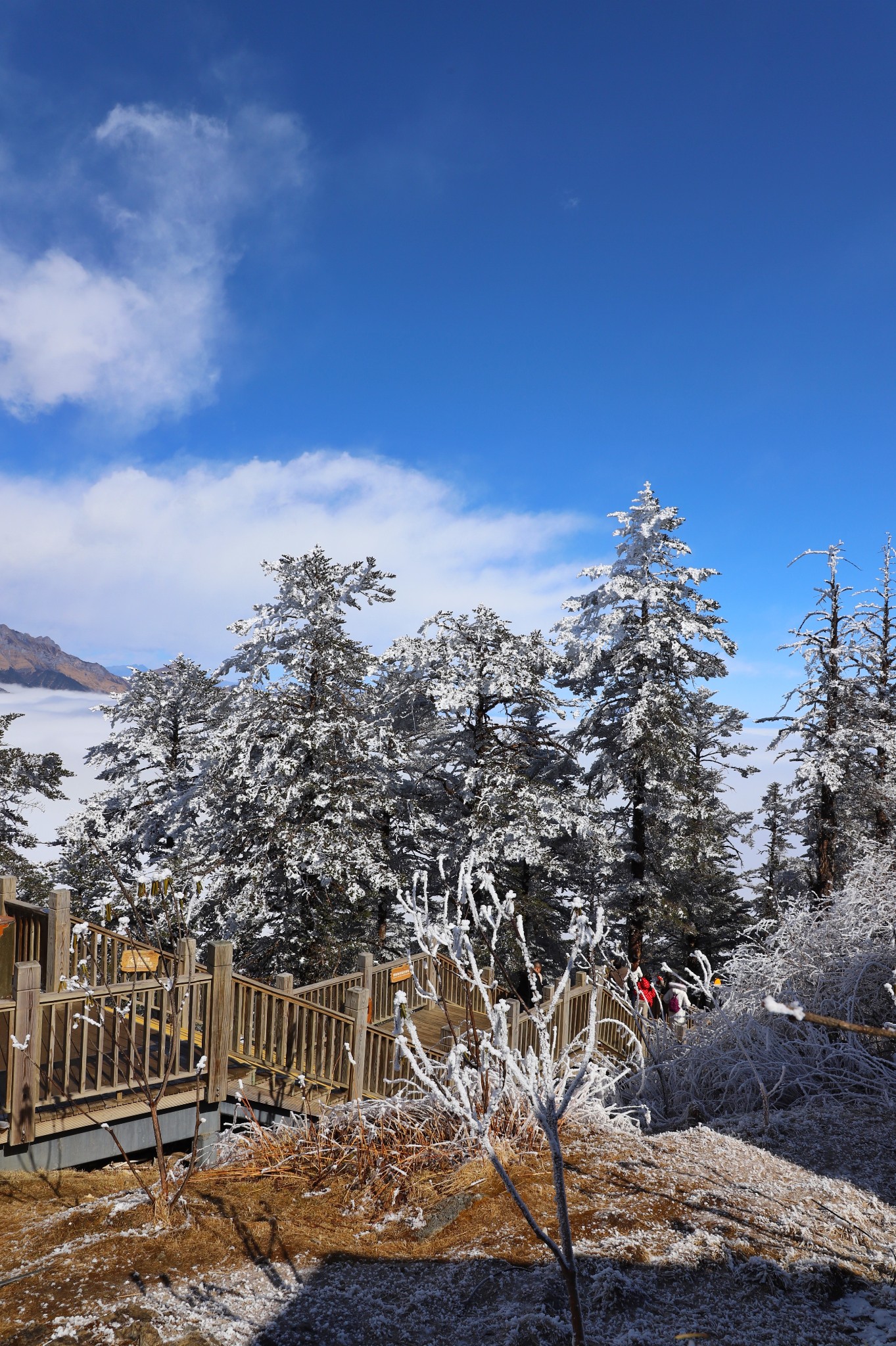 西嶺雪山大飛水景區-日月坪