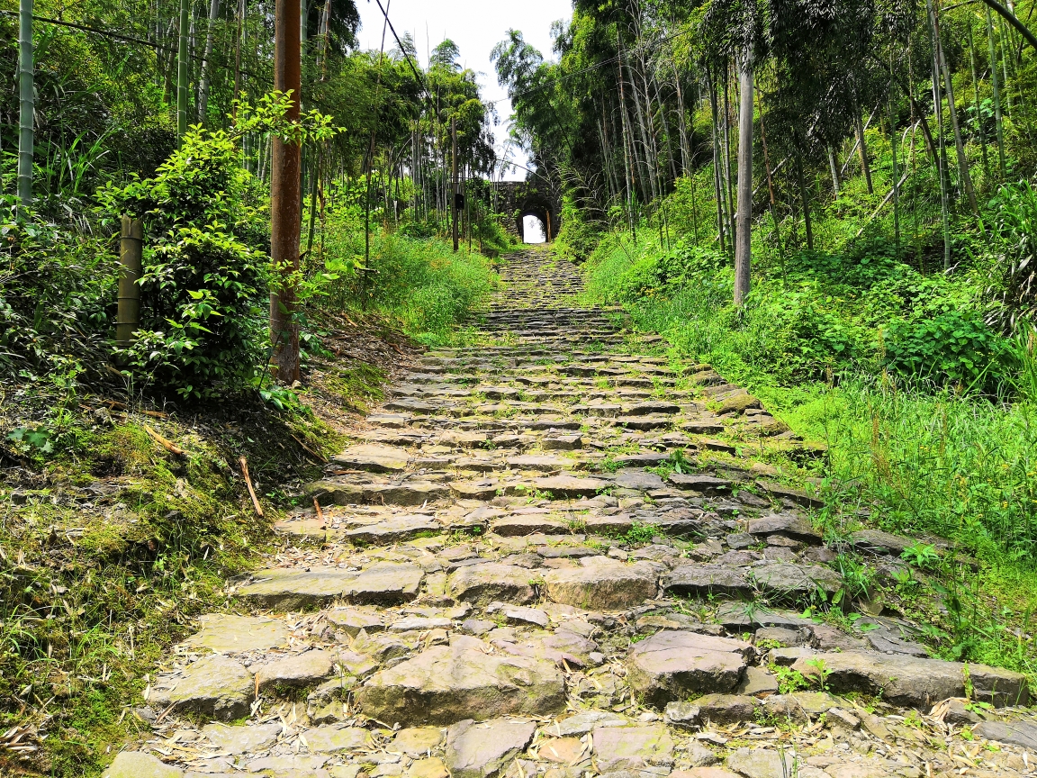 2019年五一自驾廿八都,江郎山,仙霞古道,南坞古村,清漾村,大陈古村