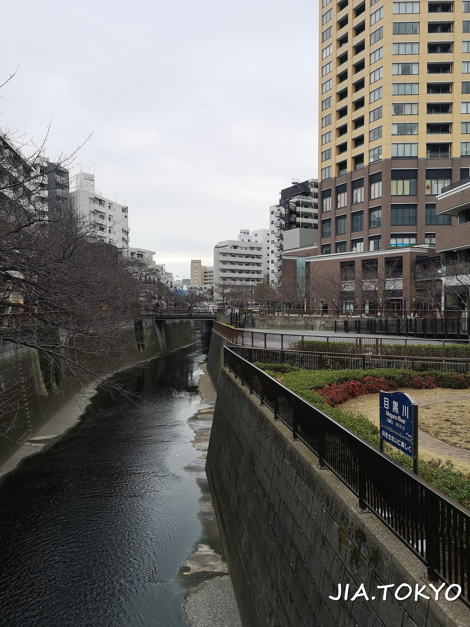 東京自助遊攻略