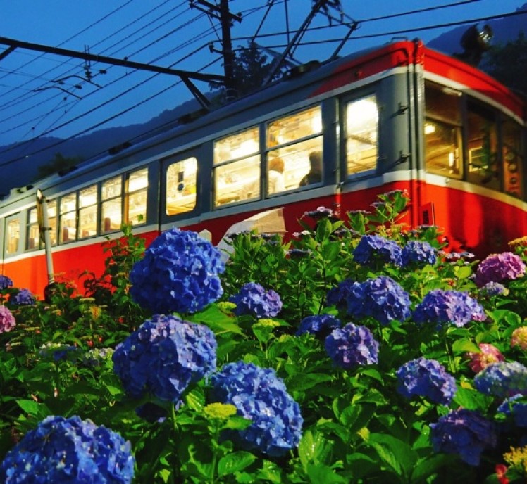 紫阳花盛开的地方 才充满日本的初夏味道 手机马蜂窝