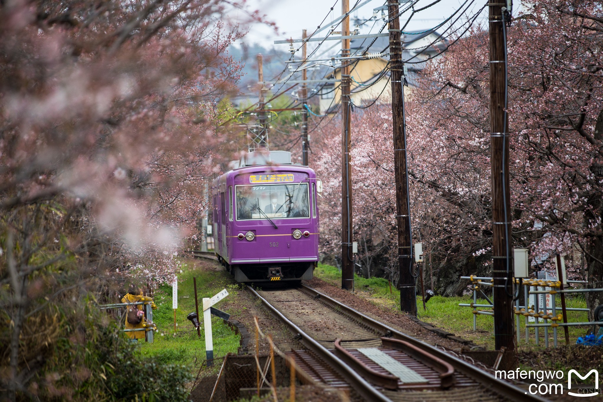 札幌自助遊攻略