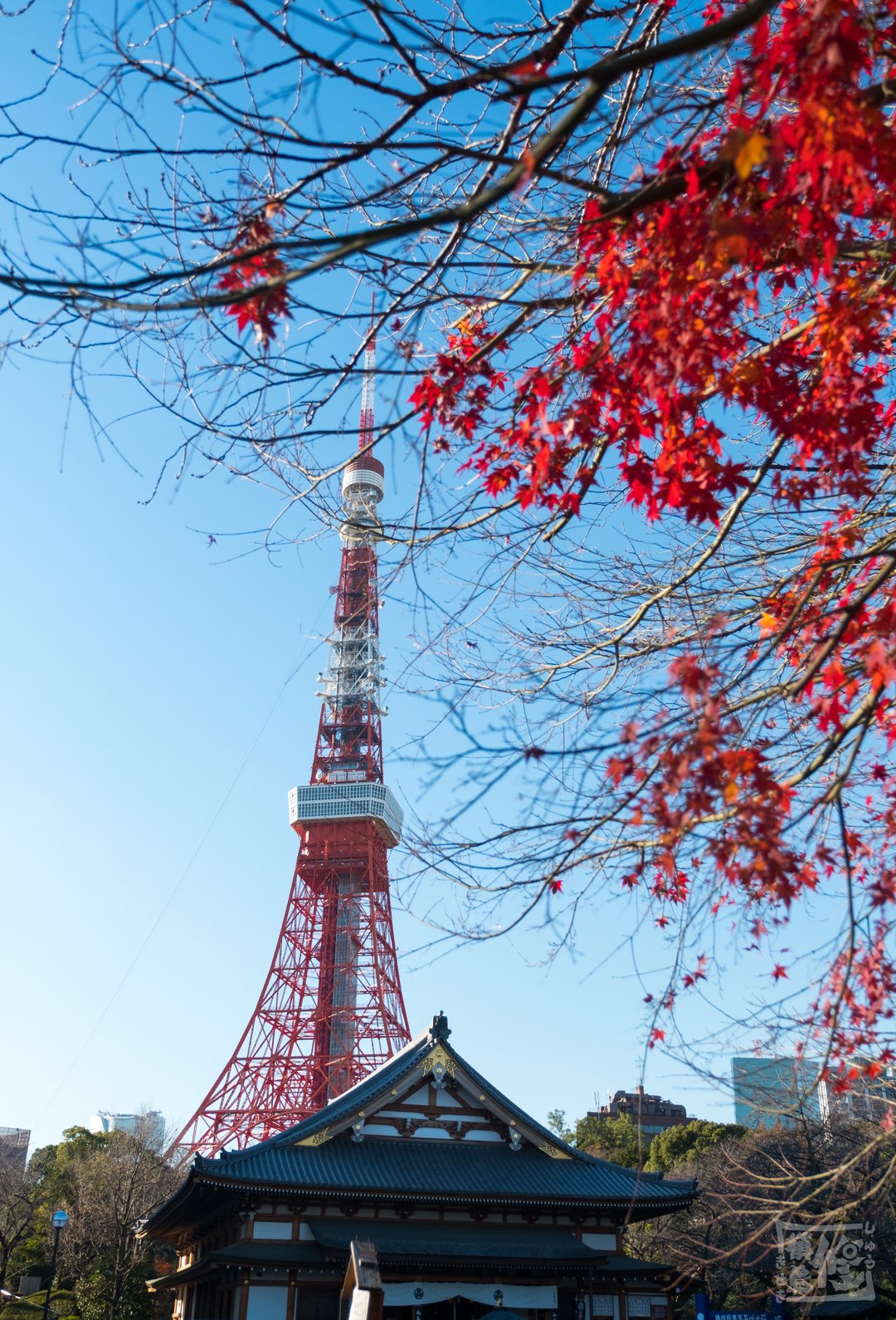 東京自助遊攻略